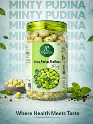 Minty Pudina makhana